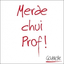 merde_chui_prof